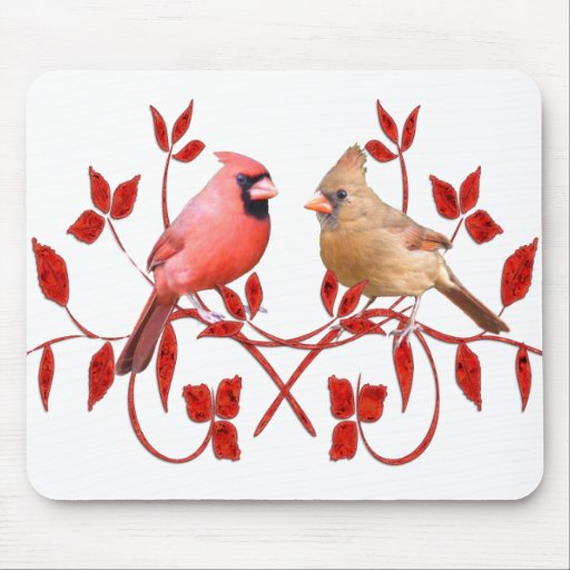 Love Birds Mouse Pads