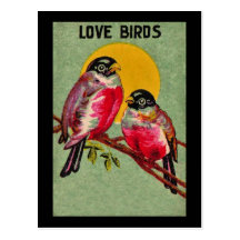 Love Birds Postcard