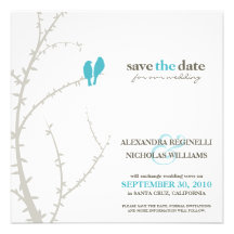 Love Birds Save the Date Announcement (aqua)