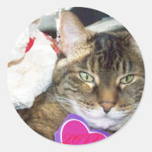 Love cat sticker