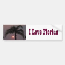 Love Florida Bumper Sticker