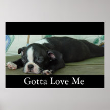 Love From Boston Posters