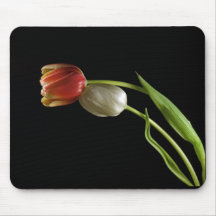 Love in Spring Mouse Pad