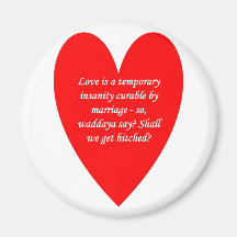 love-is-a-temporary-insanity-cureable-by-01 magnet
