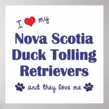 Love My Nova Scotia Duck Tolling Retrievers (They) Print