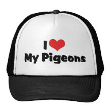 Love My Pigeons Mesh Hats