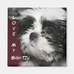 Love My Shih-Tzu Magnets