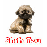 Love Shih Tzu Puppy Dog Tee Shirt