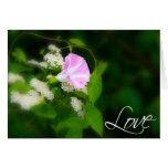Love Wedding And Event Announcement cards