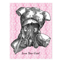 Love Your Guts Postcard