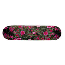 Lovely Alfie Miniature Rose 'Poulfi' Custom Skate Board