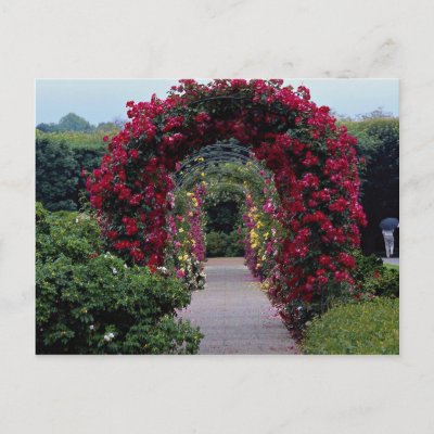 rose arches