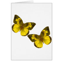 Lovely Golden Butterflies Greeting Cards