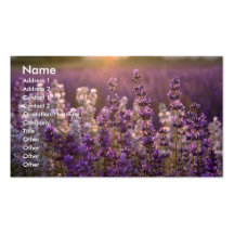Lovely Lavender Business Card Templates
