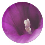 Lovely Pink Flower Party Plates