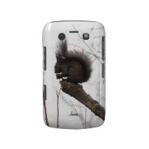 Lovely Squirrel Blackberry Case