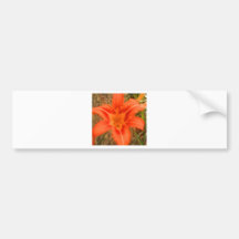 lovely tropical flower bumper stickers