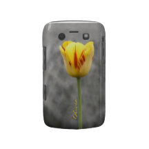Lovely Tulip Blackberry Bold Covers