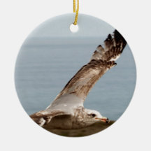 Low flying bird christmas ornament