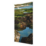 Low tide at the Pacific Ocean on fine art Gallery Wrap Canvas
