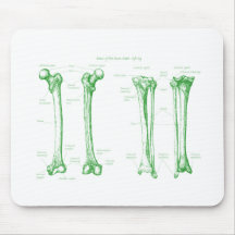 Lower Limb Green Mouse Pad