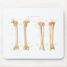 Lower Limb Sepia Mouse Pads