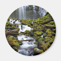 Lower Proxy Falls, Willamette National Forest, Ore Fridge Magnets