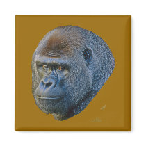 Lowland Gorilla Magnet magnets