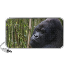 Lowland Gorilla Speakers