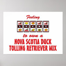 Luck to Own Nova Scotia Duck Tolling Retriever Mix Print