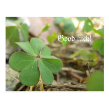 Lucky clover post card