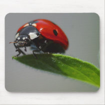 Lucky Ladybug Lovers gifts mousepads