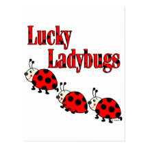 Lucky Little Ladybugs Post Cards