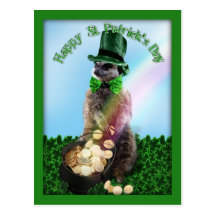 Lucky Meerkat Post Card