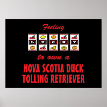 Lucky to Own a Nova Scotia Duck Tolling Retriever Poster
