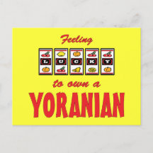 Yoranian Dog