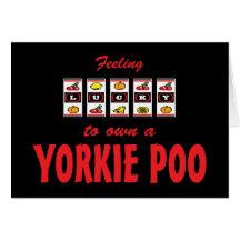 Lucky to Own a Yorkie Poo Fun Dog Design Greeting Cards