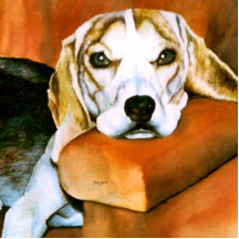 Lucy Pin Photo Cut Out
