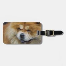 Luggage Tag - Customised