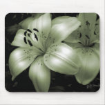 Luminous Lily Mouse Pads