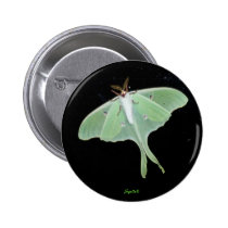 Luna Moth Button buttons