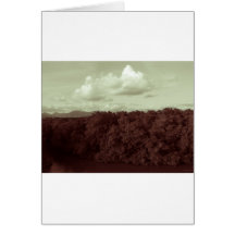 lushbush card