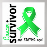 Lymphoma Survivor 19 Posters