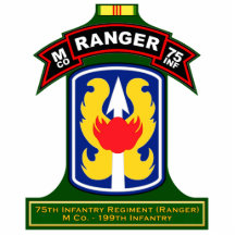 M Co, 75th Infantry Regiment - Ranger, Vietnam Acrylic Cut Out