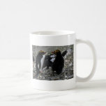 Macaroni Penguin - Pair At Nest Mugs