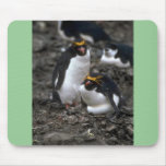 Macaroni Penguins - Pair At Nest Mousepad