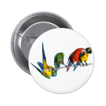 Macaw Parrot Pinback Button