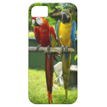 Macaw phone case iPhone 5 cover