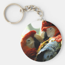 Macaws of Love Key Chain