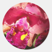 Macro Beardless Iris Round Sticker